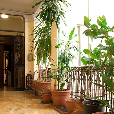 Borromeo Affittacamere Roma